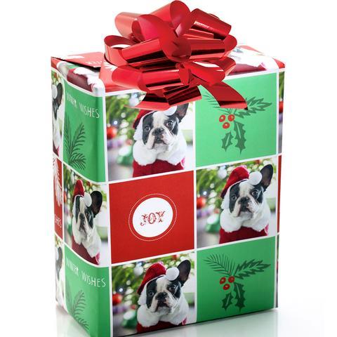 personalized puppy holiday wrapping paper