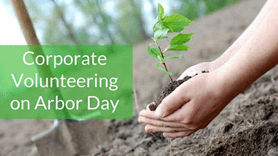 How Businesses Can Give Back on Arbor Day