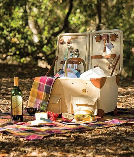 Cheese and wine picnic spread in the park.