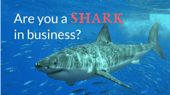 Are You a Shark in Business?