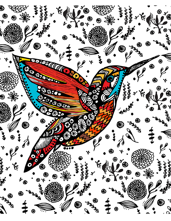 Hummingbird illustration